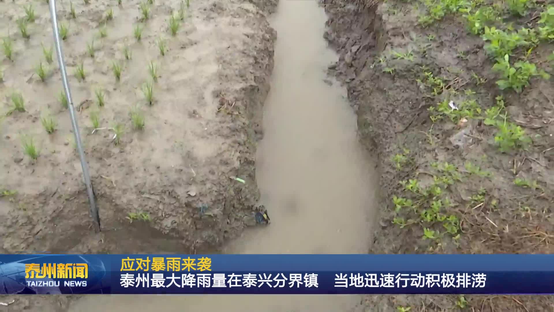 应对暴雨来袭  泰州最大降雨量在泰兴分界镇 当地迅速行动积极排涝